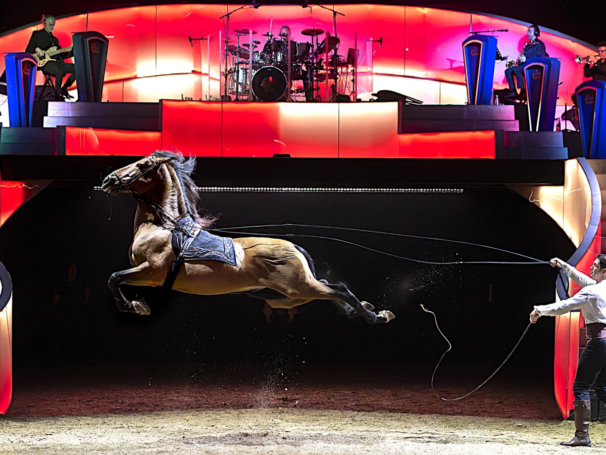 &laquo;&nbsp;Les Folies Gruss&nbsp;&raquo;, une superbe 52e création familiale, saltimbanque, poétique et équestre. Une comédie musicale originale imaginée en hommage au célèbre et regretté Alexis Gruss. Un moment précieux!